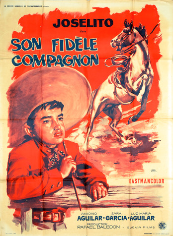 Son fidèle compagnon