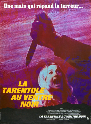 La Tarentule au ventre noir
