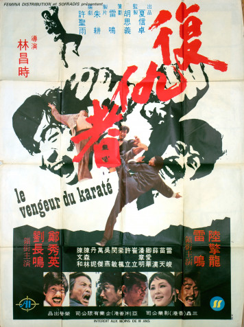 Le Vengeur du karaté