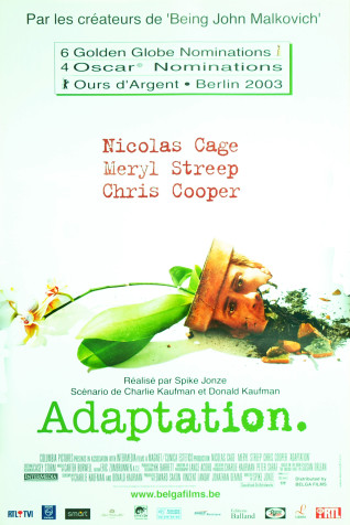 Adaptation
