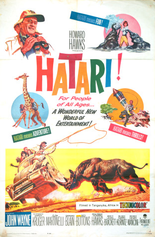 Hatari