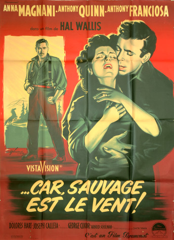 Car sauvage est le vent