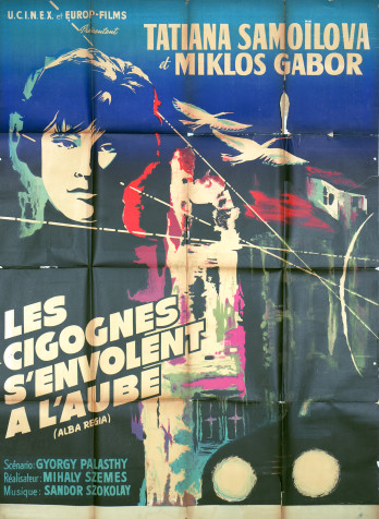 Les Cigognes s'envolent à l'aube