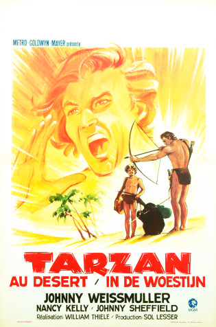 Le Mystère de Tarzan