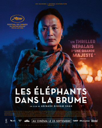 Les Éléphants dans la brume