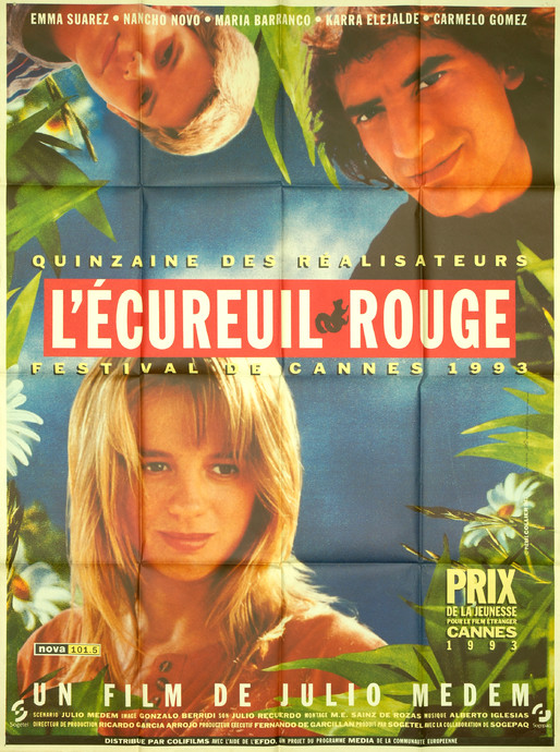 L'Ecureuil rouge
