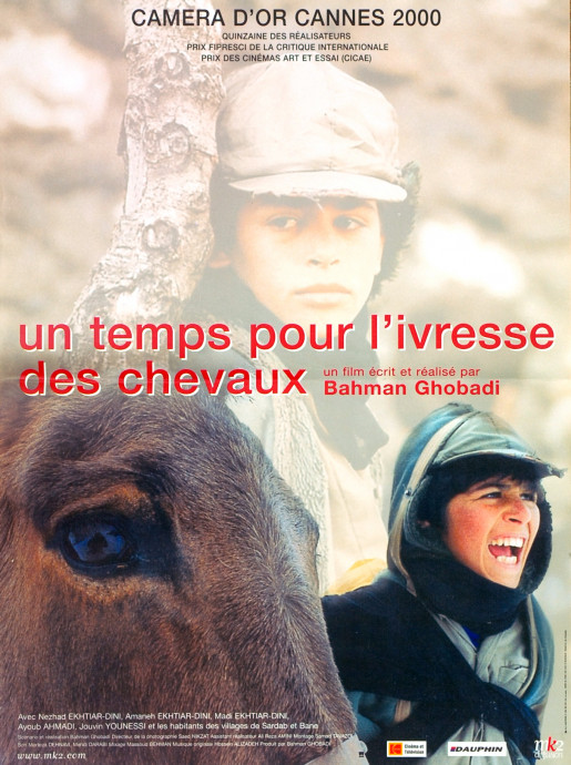 Un Temps pour l'ivresse des chevaux