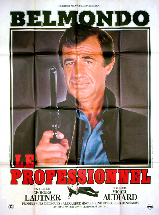 Le Professionnel