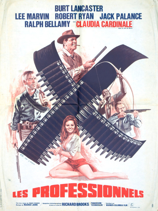 Les Professionnels