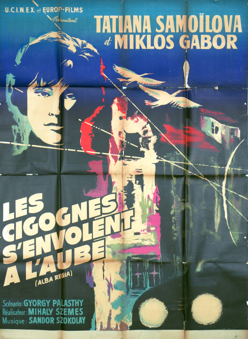 Les Cigognes s'envolent à l'aube